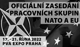 Oficiální zasedání pracovních skupin